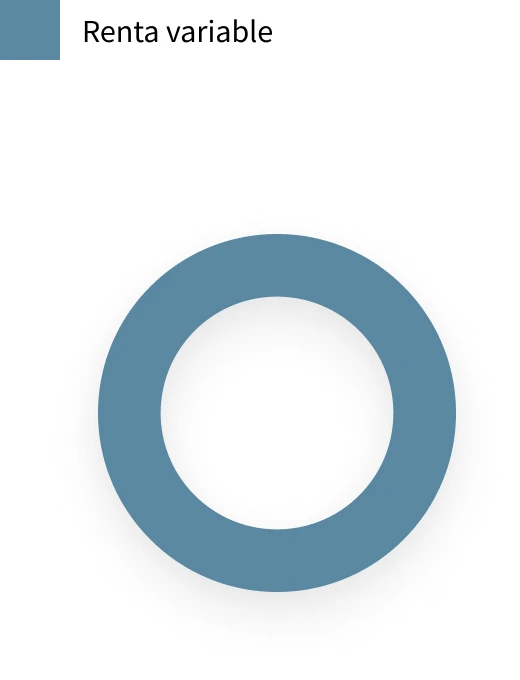 Gráfica referencia de portafolio agresivo